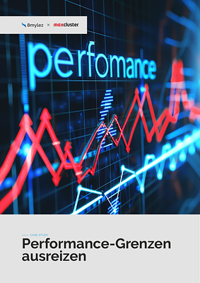 8mylez-CaseStudy-PerformanceGrenzen.pdf