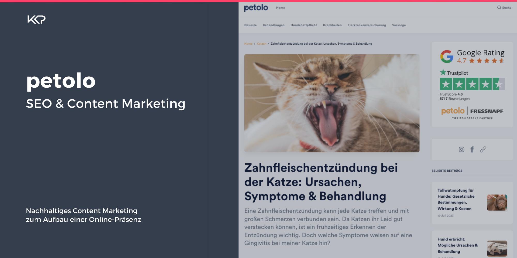 Kosch Klink Performance Projekte & Portfolio Screenshot #3