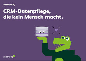 CRM-Datenpflege – DataQuality von snapAddy