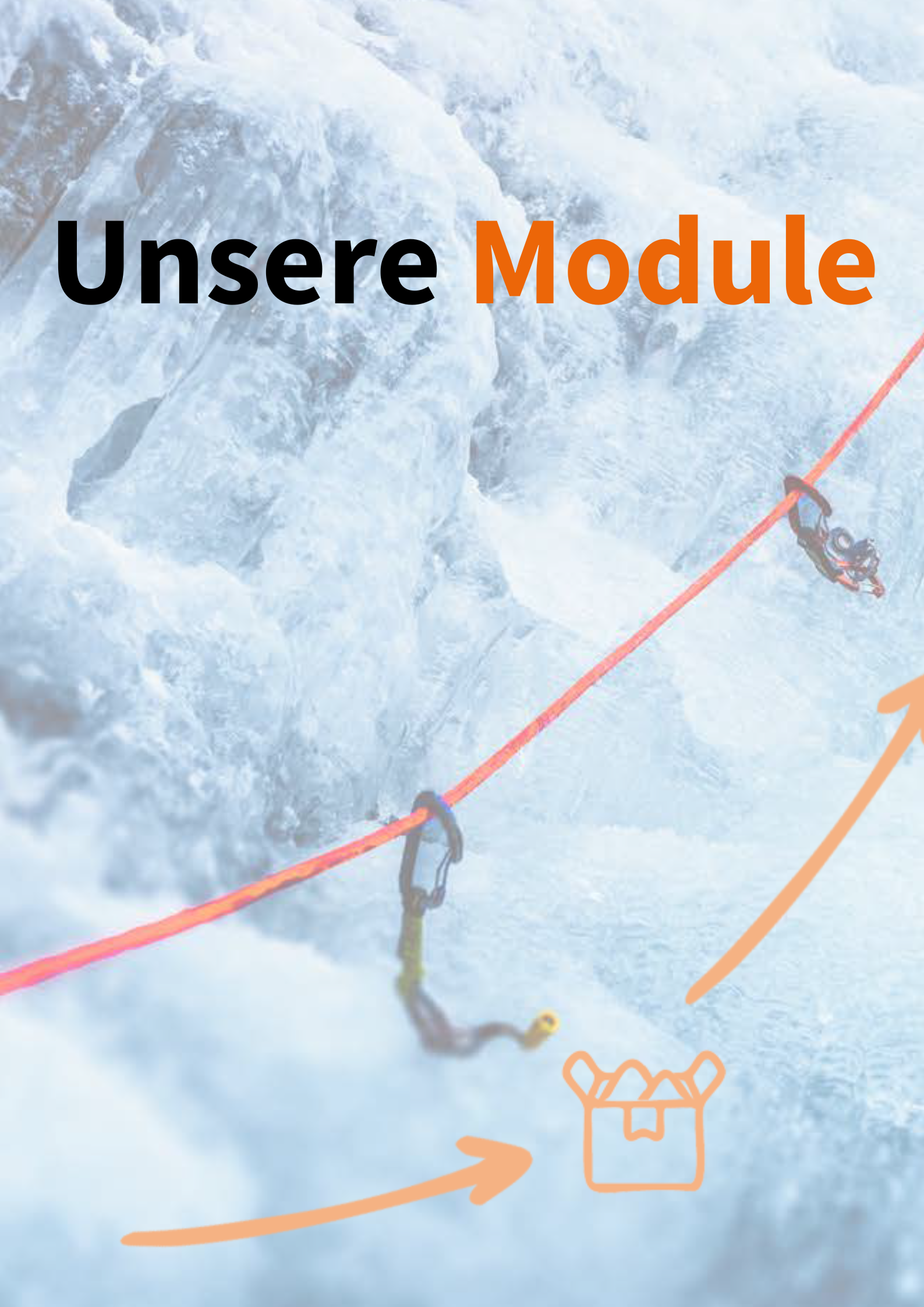 Module und Erfolgsgeschichte.pdf