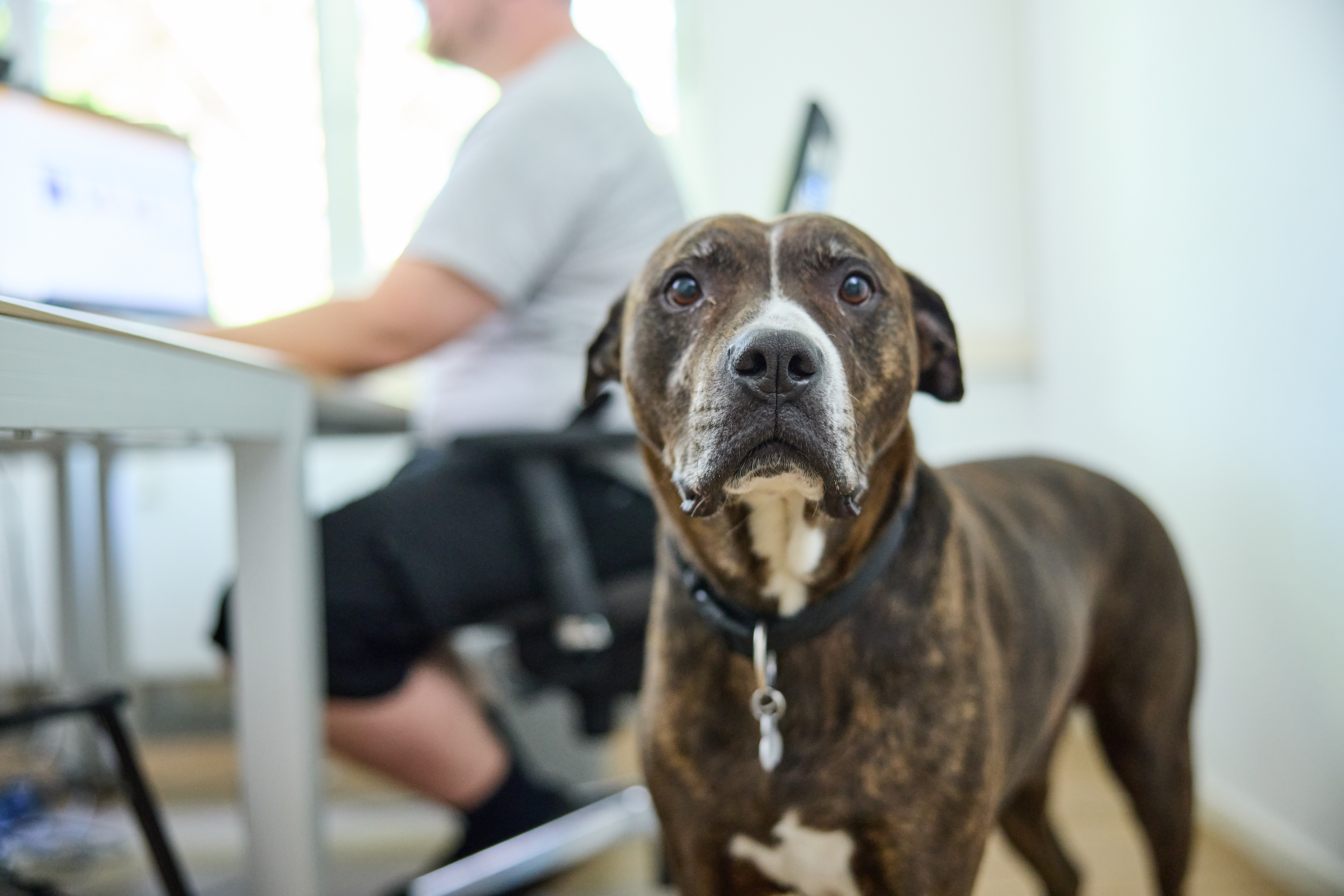 Aufgesang Projekte & Portfolio Screenshot #2